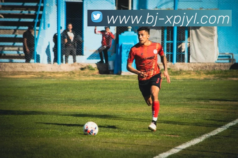 新葡京娱乐服务体系